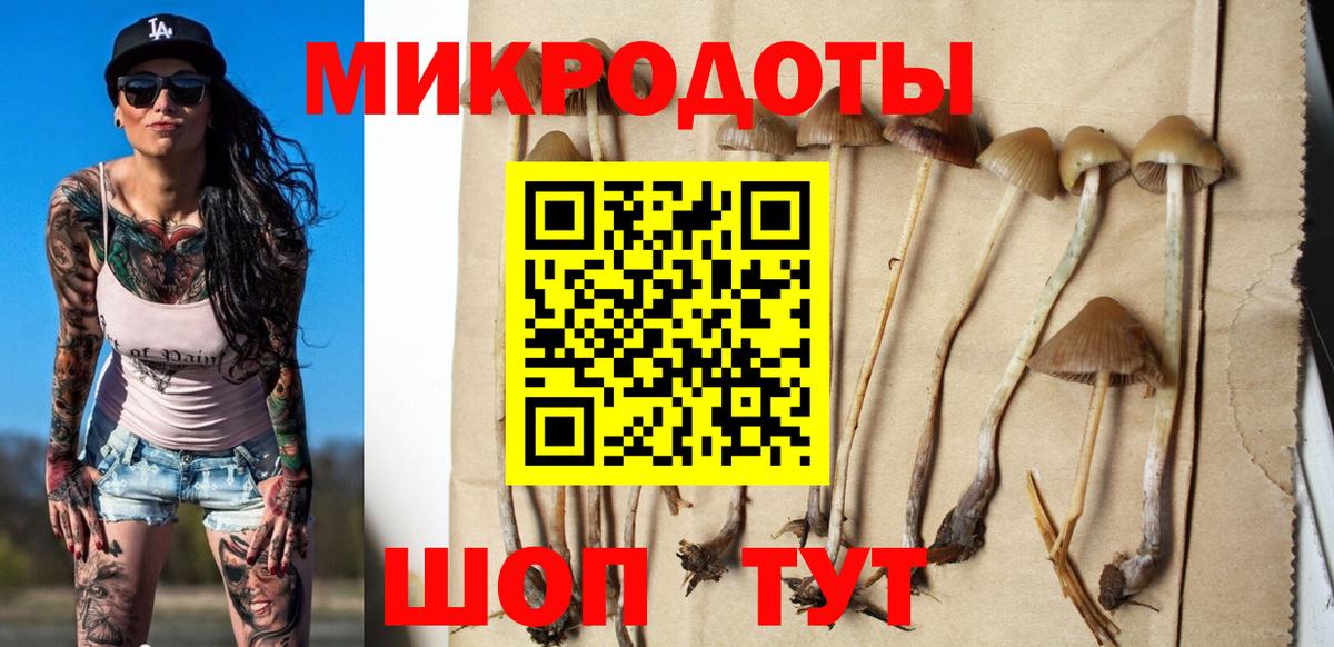 Псилоцибиновые грибы GOLDEN TEACHER  Псилоцибиновые грибы Magic Shrooms  Вход с VPN  Десногорск 